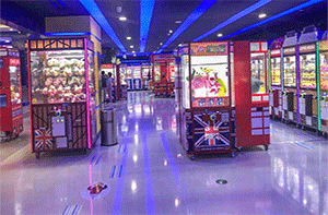 浙江凱琪貓案例展示