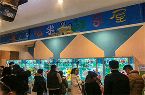 浙江哈米游樂屋案例展示