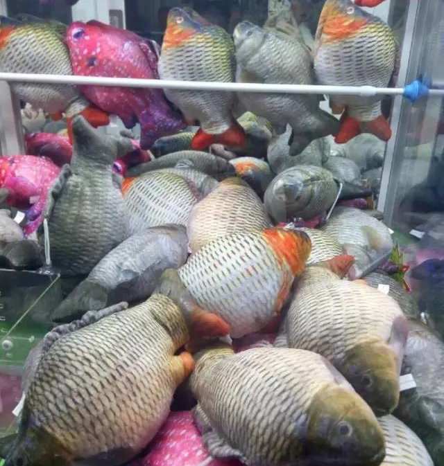 廣州立而方<a href='/wwj.htm' class='keys' title='點(diǎn)擊查看關(guān)于娃娃機(jī)的相關(guān)信息' target='_blank'>娃娃機(jī)</a><a href='/jiandaoji.htm' class='keys' title='點(diǎn)擊查看關(guān)于剪刀機(jī)的相關(guān)信息' target='_blank'>剪刀機(jī)</a> 廣州立而方娃娃機(jī)剪刀機(jī)