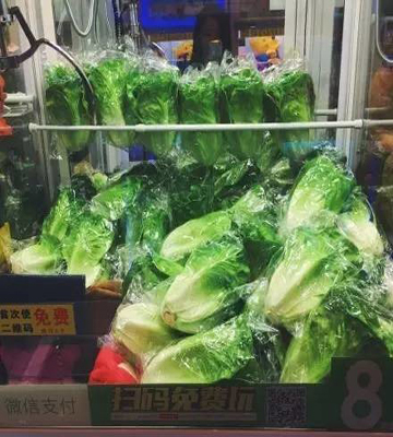 立而方娃娃機(jī)蔬菜 立而方娃娃機(jī)蔬菜