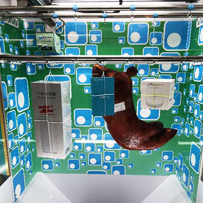 禮品創(chuàng)意大賽冠軍