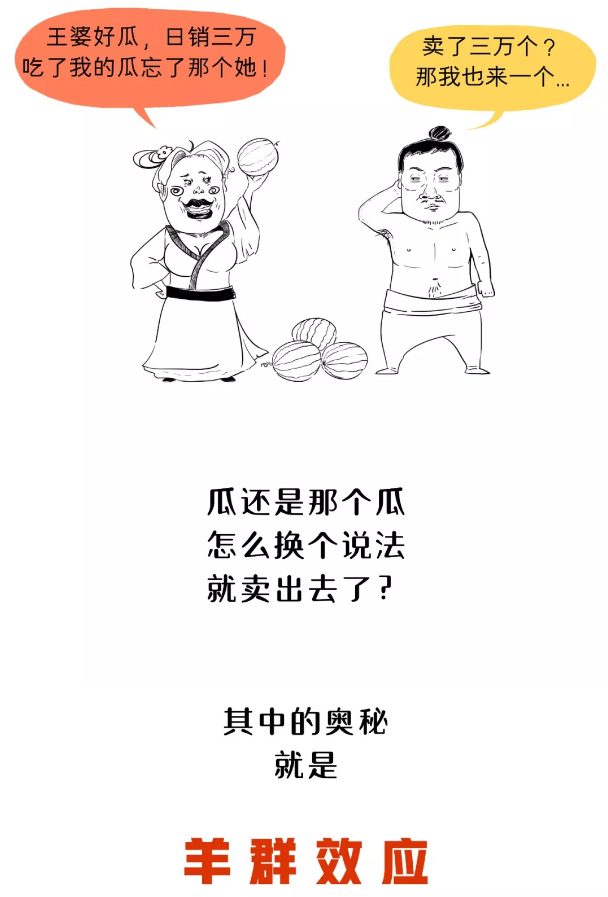 經(jīng)營方案 經(jīng)營方案