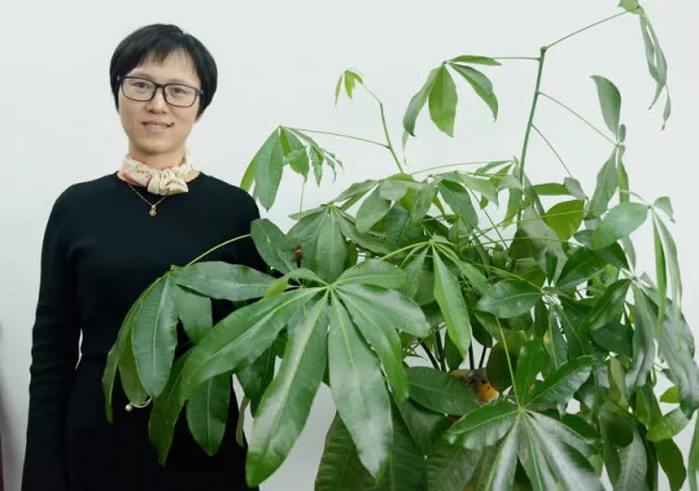 立而方營銷總經(jīng)理張香玲 立而方營銷總經(jīng)理張香玲